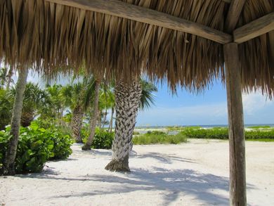 Fort Myers Condo 907308