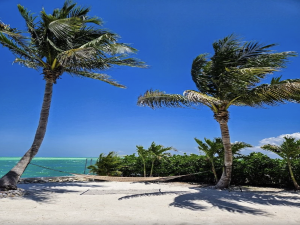 Siesta Key Luxury Vacation Rental | Gulf-Front 5 Bedroom with Pool