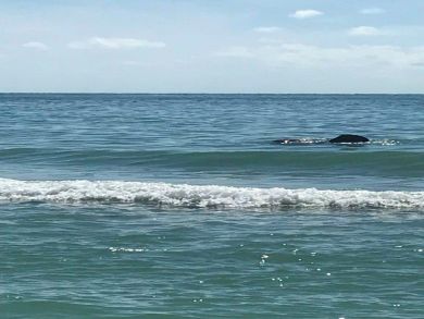 Captiva Island North Captiva Condo 907370 Captiva Island North Captiva Condo 907370