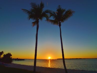 Fort Myers Condo 907402
