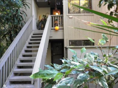 Sarasota Condo 907437