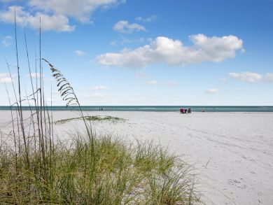 Fort myers Rental Accommodation