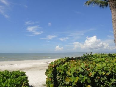 Fort Myers Condo 907583