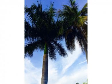 Fort Myers Condo 907585