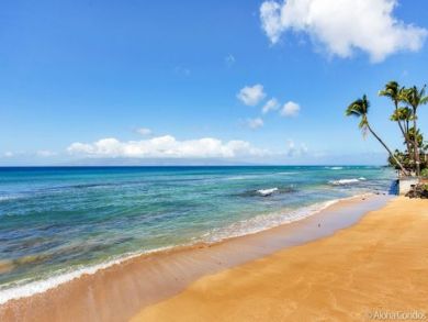 One Bedroom Beach Vacation Condo  Pacific Views Walk Out