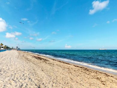 Fort Lauderdale Condo 907642