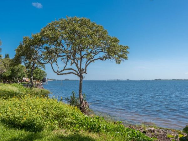 Anna Maria Island Holmes Beach Condo 907645