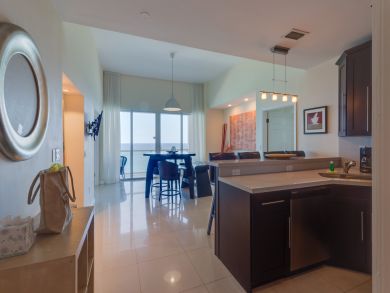 Miami Beach Condo 907650