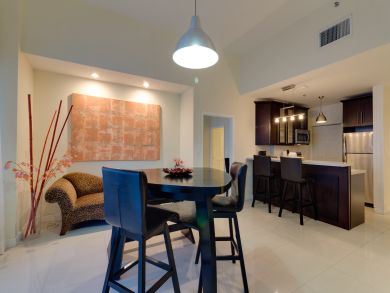 Miami Beach Condo 907650
