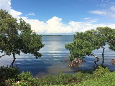 Anna Maria Island Holmes Beach Condo 907656