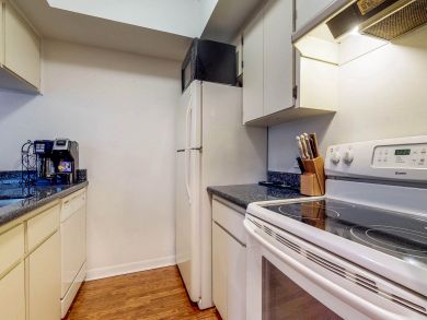 Tampa Condo 907661