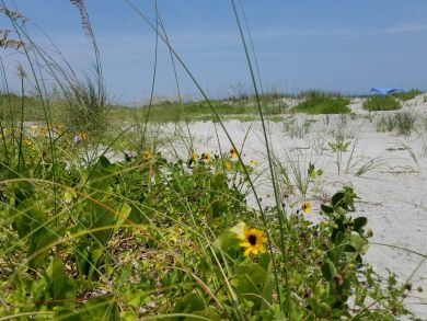 Cocoa Beach Condo 907678