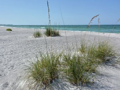Bayside ground floor unit 200' to beach Bayside ground floor unit 200' to beach