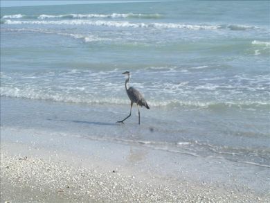 Longboat Key Condo 907687