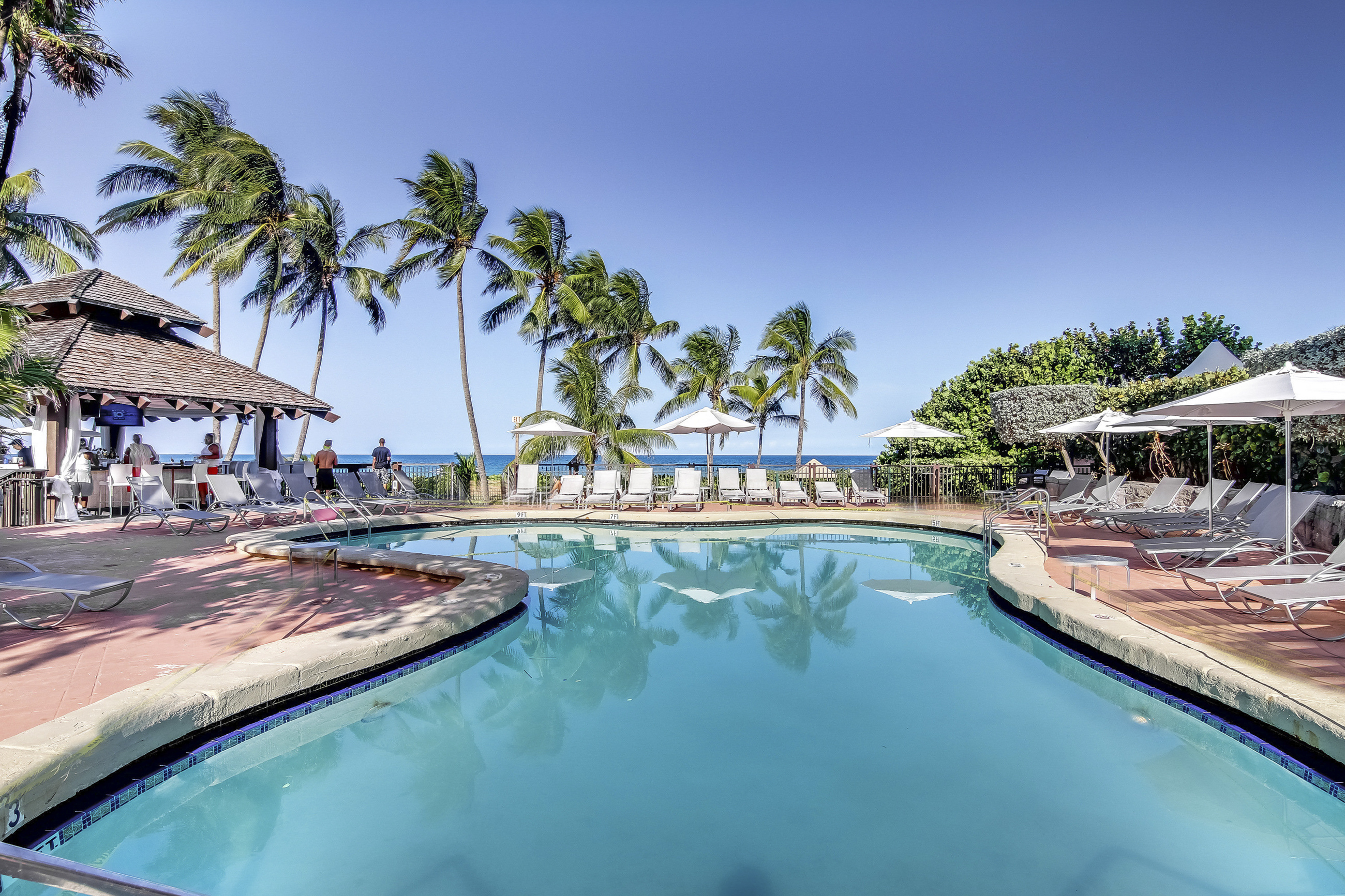 Miami Beach Condo 907698