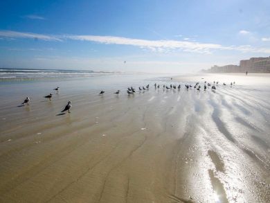 New Smyrna Beach Condo 907705