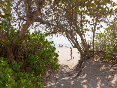 Miami Beach Condo 907723