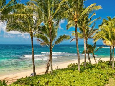 Luxury Five Bedroom Beach Vacation Villa Full Ocean View