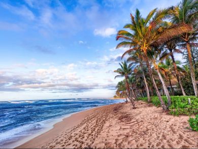 Luxury Five Bedroom Beach Vacation Villa Full Ocean View