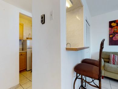 Miami Beach Condo 907742