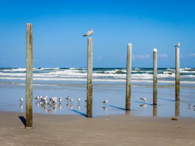 Daytona Beach Condo 907785