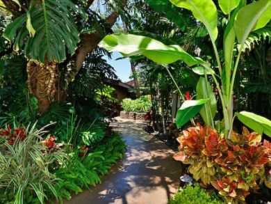 Lahaina Rental Walk to Dining and Shopping