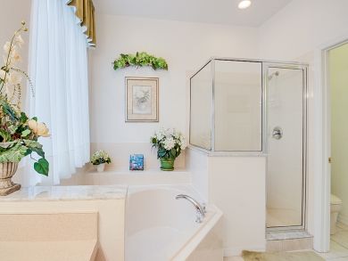 Orlando Home 907822