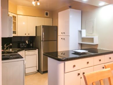 Miami Beach Condo 907835