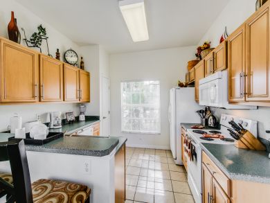 Orlando Home 907869