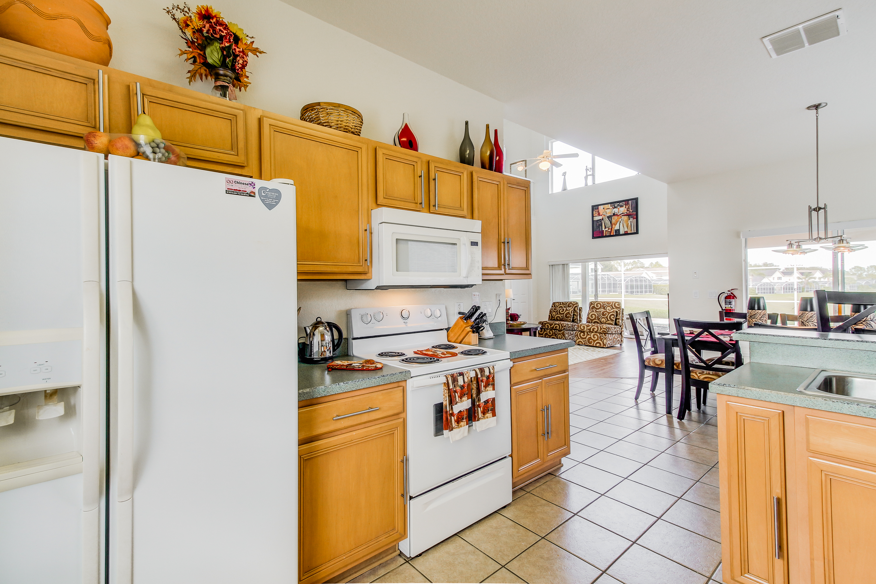 Orlando Home 907869