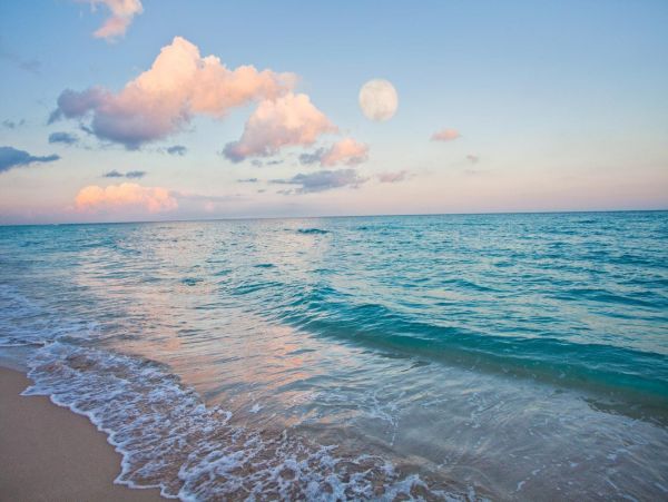 Splendid 2 Bedroom Oceanfront Vacation Condo in Miami Beach