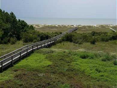 Mexico Beach Condo 907905