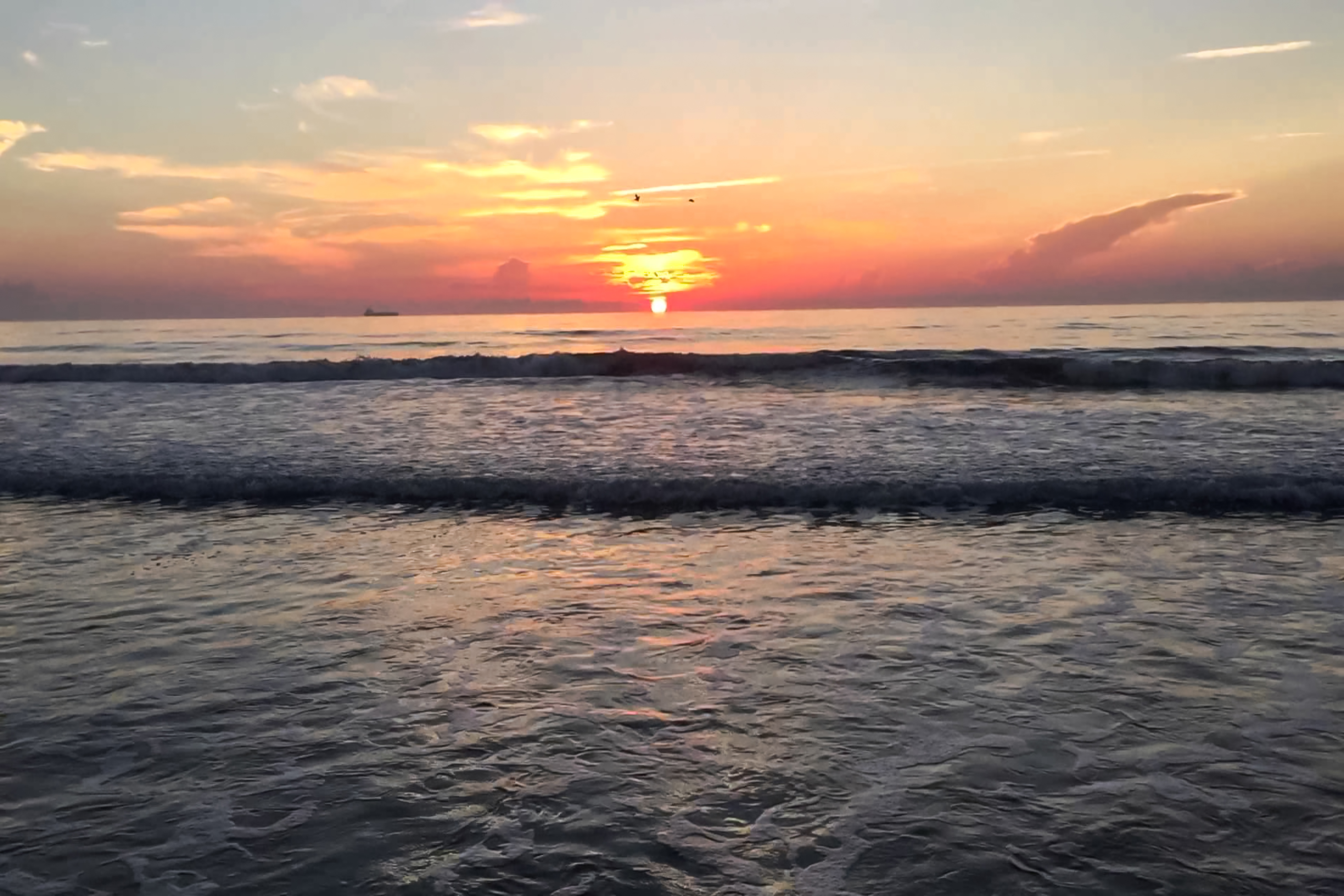 New Smyrna Beach Condo 907934
