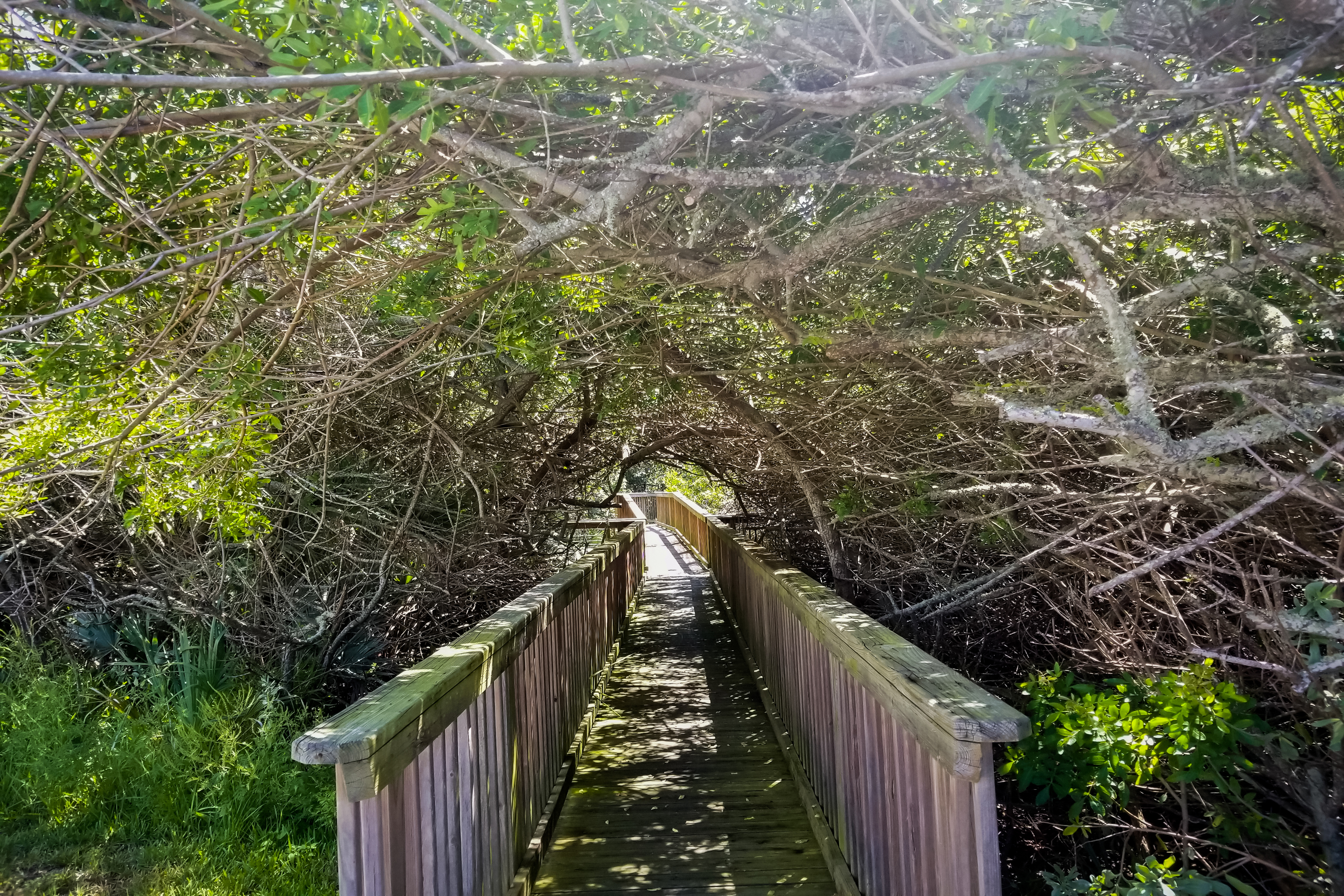 New Smyrna Beach Condo 907934