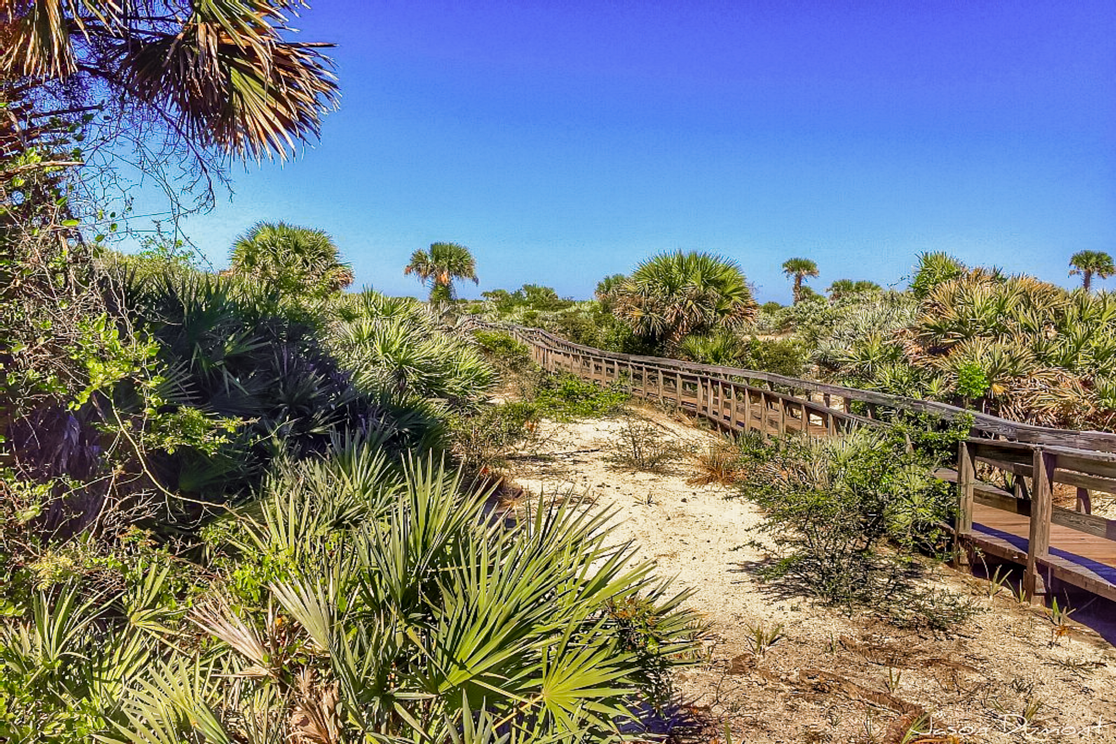 New Smyrna Beach Condo 907934