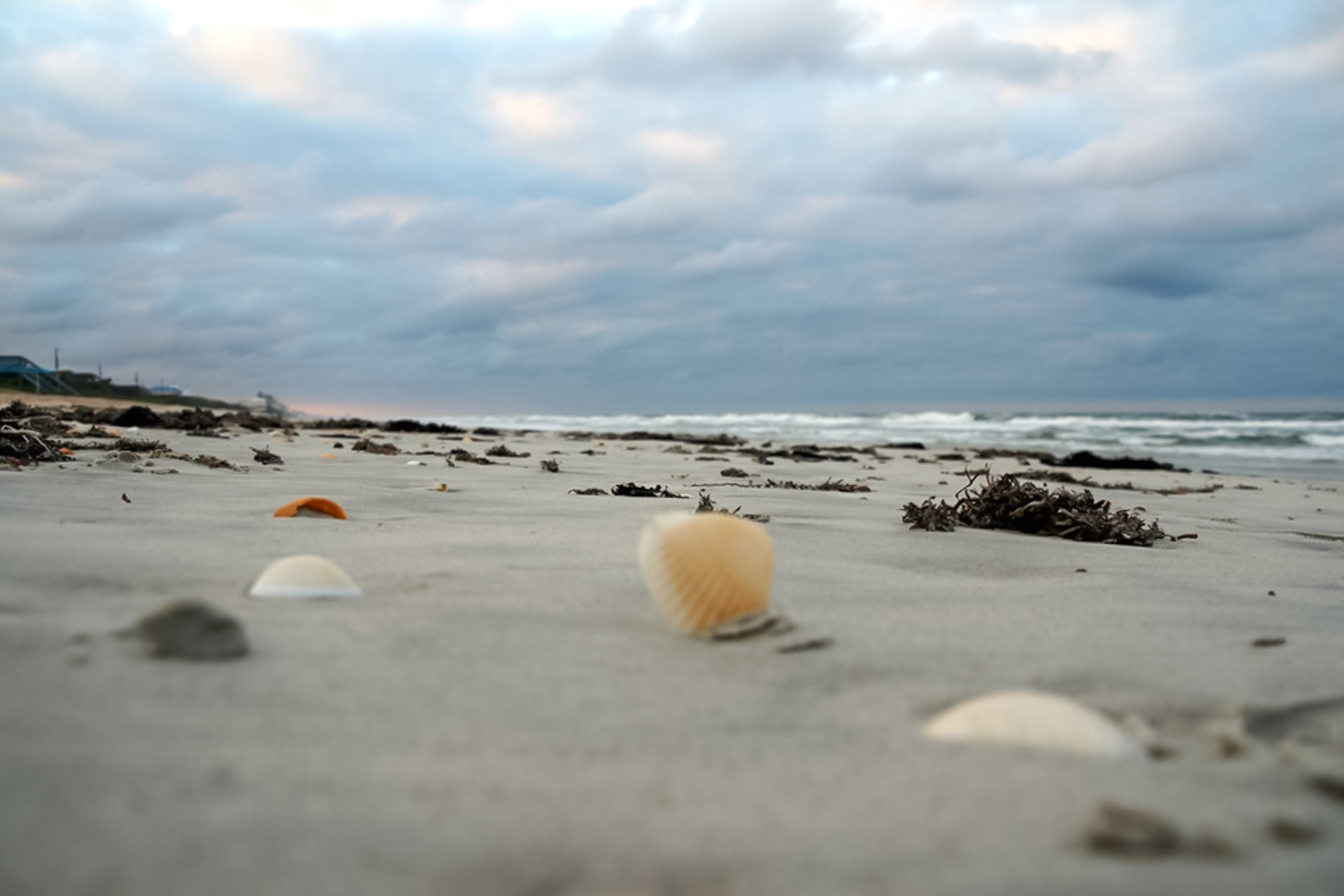 New Smyrna Beach Condo 907934