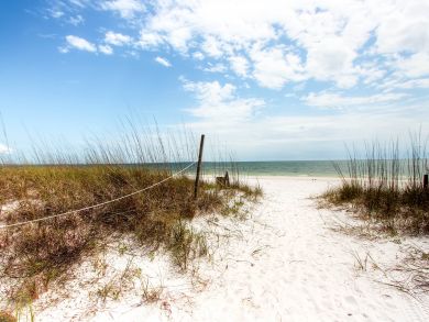 Mexico Beach Home 907994 Mexico Beach Home 907994