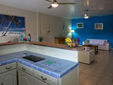 Luxury Martinique Villa Five Bedrooms in Trois-llets