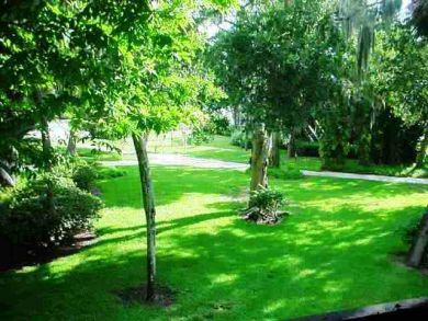 Sarasota Condo 908008