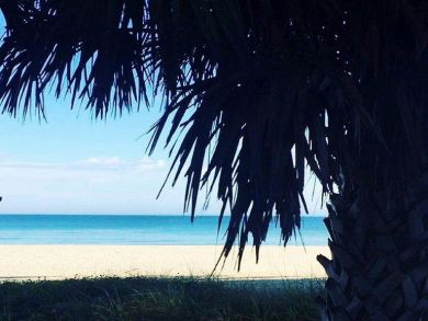Longboat Key Condo 908015