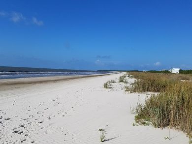 Mexico Beach Home 908060