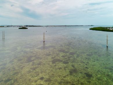 The Florida Keys Home 908120