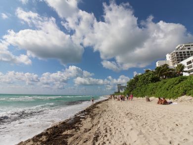 Miami Beach Condo 908144