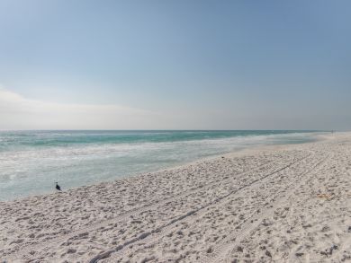 Pensacola Beach Condo 908147