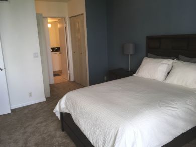 Hollywood Condo 908149