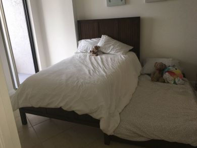 Hollywood Condo 908149