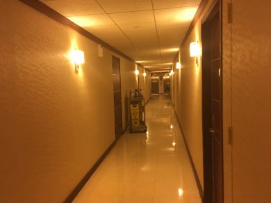 Hollywood Condo 908149