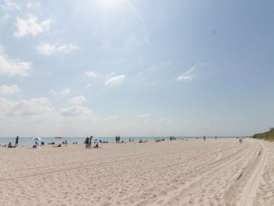 Miami Beach Condo 908150