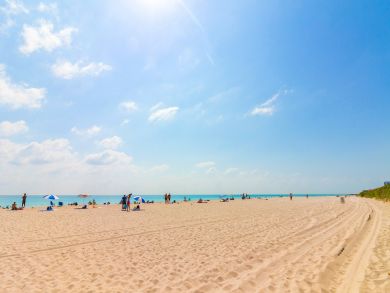 Miami Beach Condo 908181