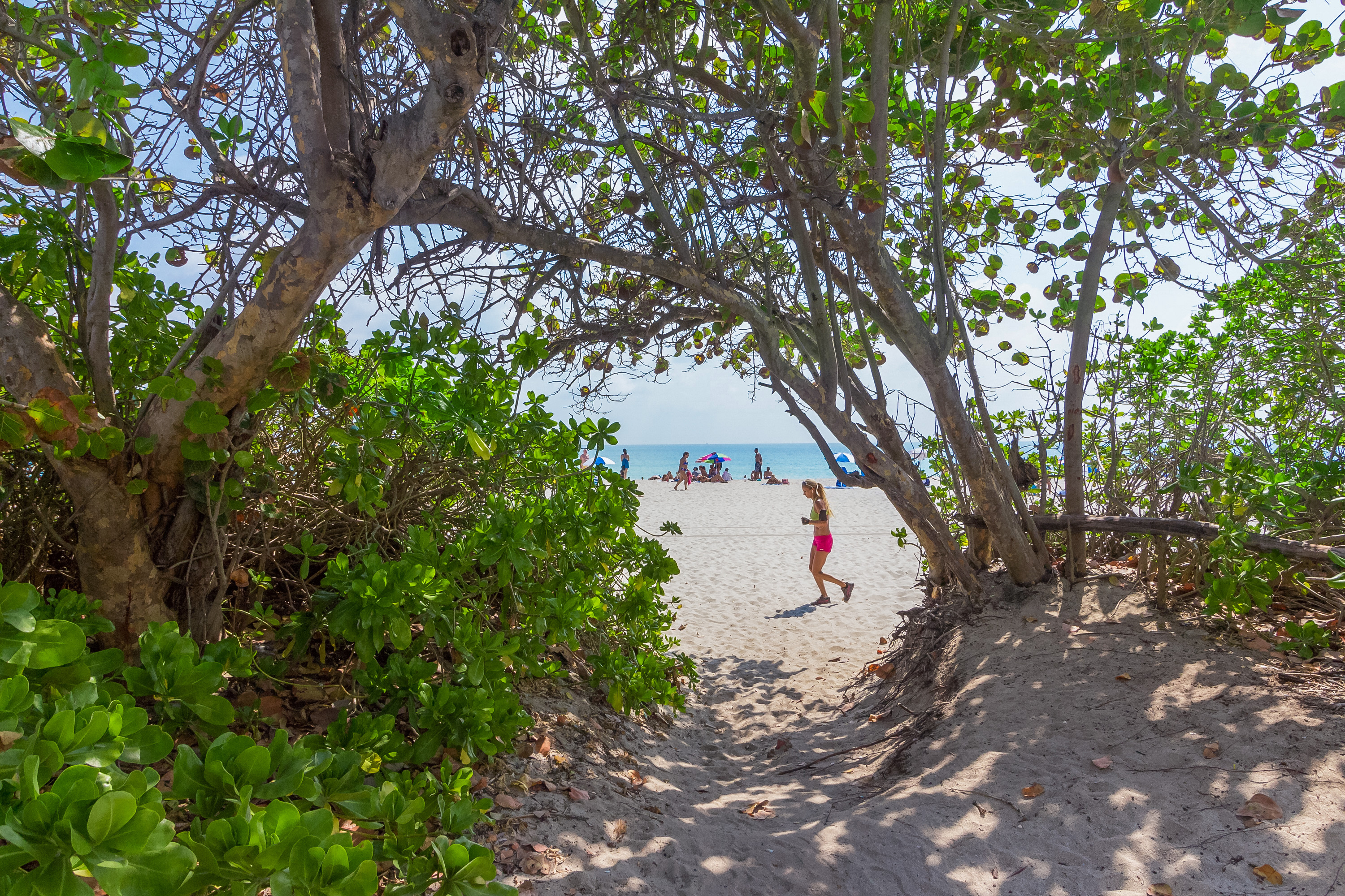 Miami Beach Condo 908181